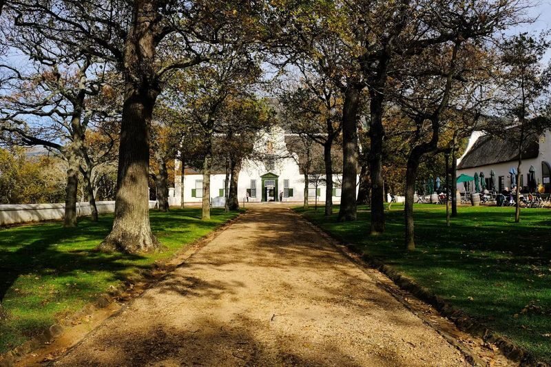 Wine Tasting Experience in Groot Constantia Wine Estate, Cape Town - Vineyard, modern cellars, then five pours