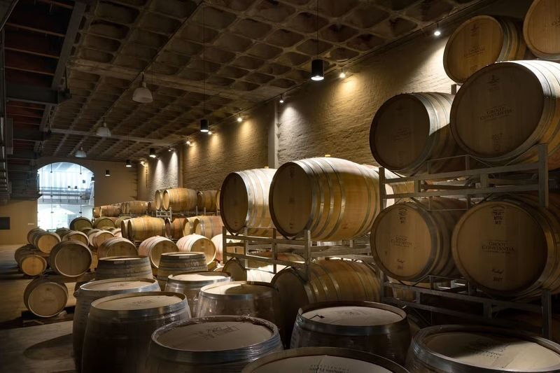 Wine Tasting Experience in Groot Constantia Wine Estate, Cape Town - How to plan the visit in Constantia