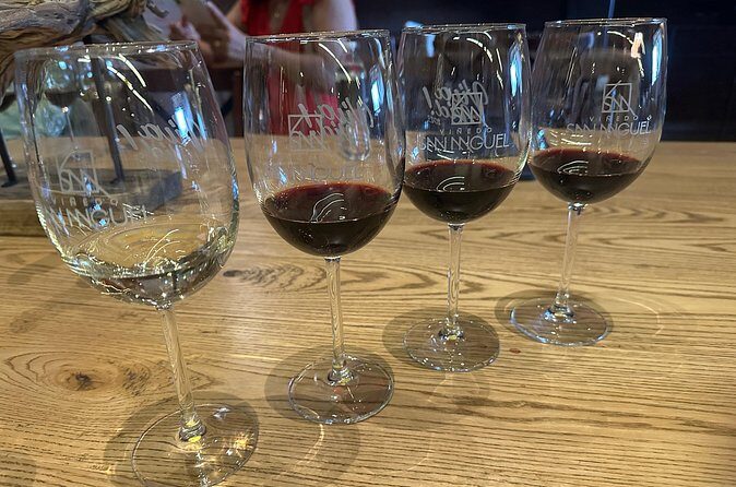 Wine Tasting experience in San Miguel de Allende - Final Thoughts