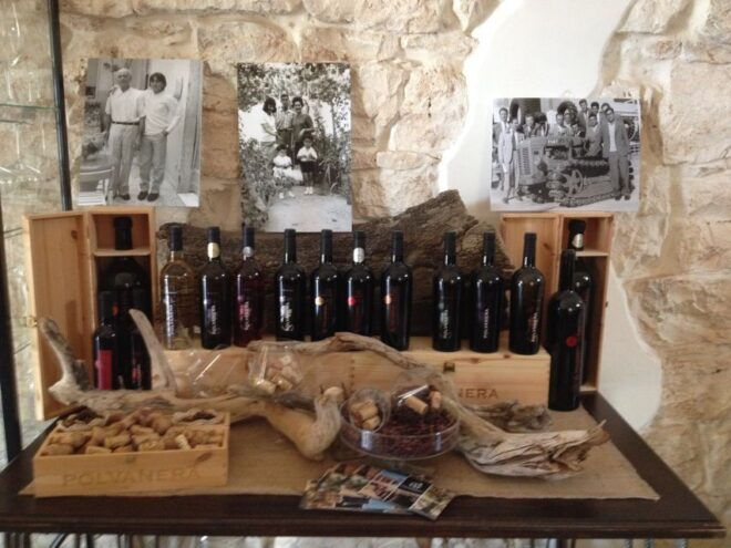 Wine Tasting Experience in the Apulian Countryside! - Customer Reviews