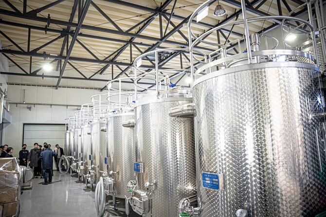 Wine Tasting Experience in Yamaga - Location Details