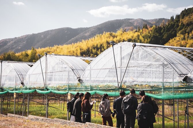 Wine Tasting Experience in Yamaga - Inclusions