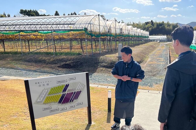 Wine Tasting Experience in Yamaga - Additional Information
