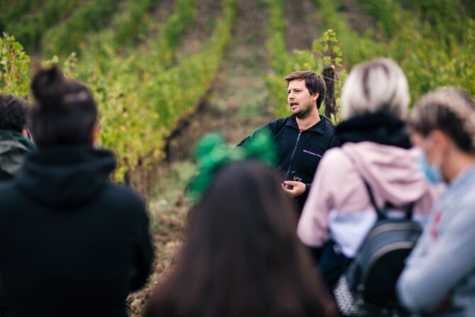 Wine Tasting Experience Near Florence - End Point Information