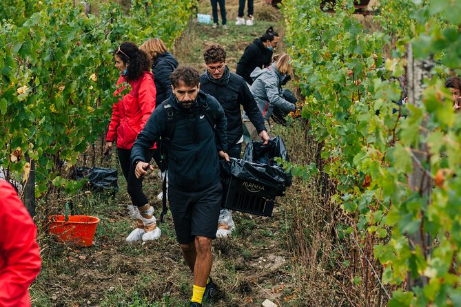 Wine Tasting Experience Near Florence - The Sum Up