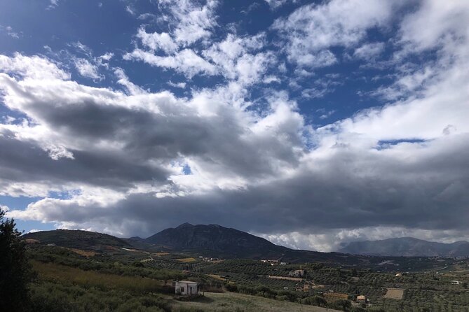 Wine Tasting Experience of Cretan Wines With a Wine Pro - Good To Know