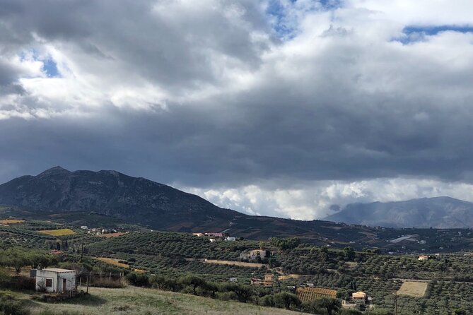 Wine Tasting Experience of Cretan Wines With a Wine Pro - Cancellation Policy