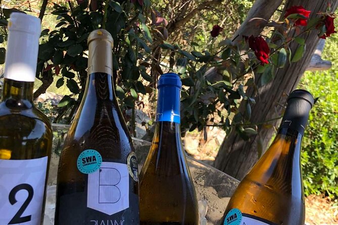 Wine Tasting Experience of Cretan Wines With a Wine Pro - Contact Information and Trustworthiness