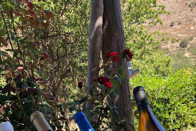 Wine Tasting Experience of Cretan Wines With a Wine Pro - Common Questions
