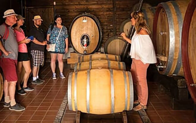 Wine Tasting Experience on the Slopes of Vesuvius - Food and Wine Experience