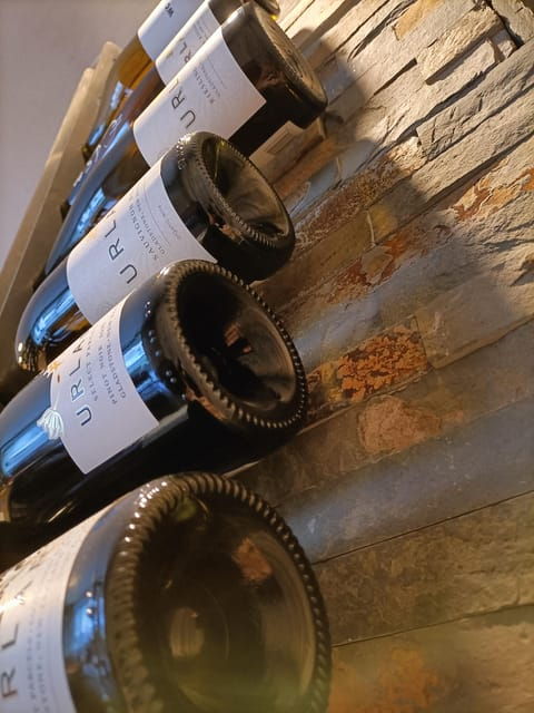 Wine Tasting Experience With Cheese and Cold Cuts - Booking Process and Payment Options