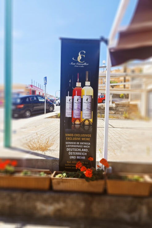 Wine Tasting From Mallorca - Vinothek Cala Mandia - Diverse Wine Selection