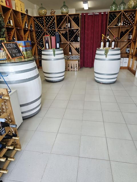 Wine Tasting From Mallorca - Vinothek Cala Mandia - Educational Tasting Experience