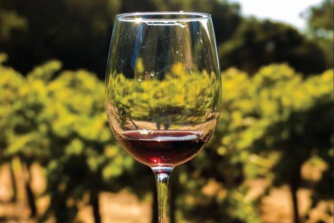 Wine Tasting: Full-Day Wine Tour in Kakheti (ALL INCLUSIVE) - Pricing and Policies