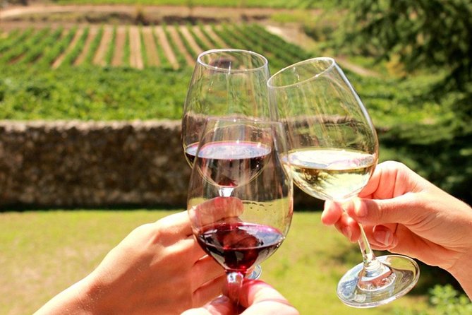 Wine Tasting: Full-Day Wine Tour in Kakheti - Booking and Additional Information