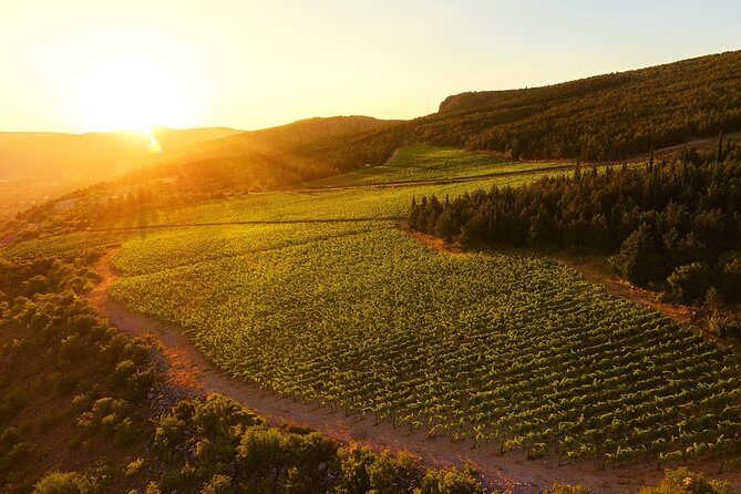 Wine Tasting Grabovac Tour From Makarska - Culinary Delights
