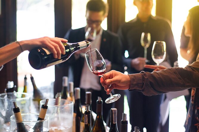 Wine Tasting in a Penthouse Overlooking Bondi Beach - Experience Highlights