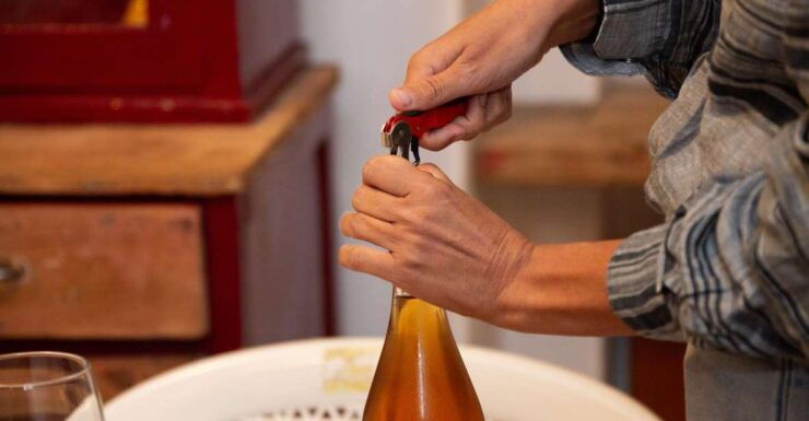 Wine Tasting in a Private Trulli Complex With Vineyard - Experience Highlights