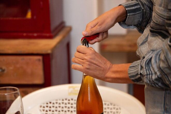 Wine Tasting in a Private Trulli Complex With Vineyard - Tour Itinerary