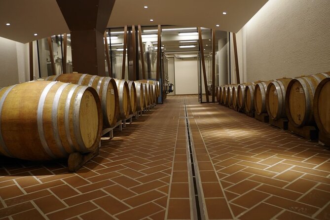 Wine Tasting in Bardolino - Cancellation Policy