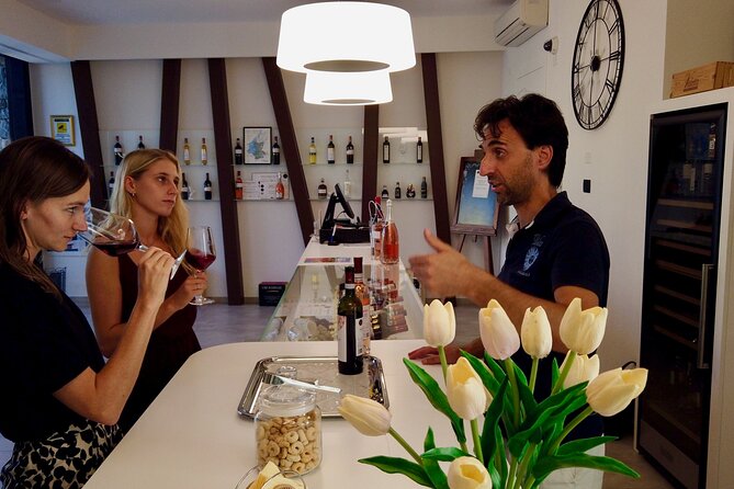 Wine Tasting in Bardolino - The Sum Up