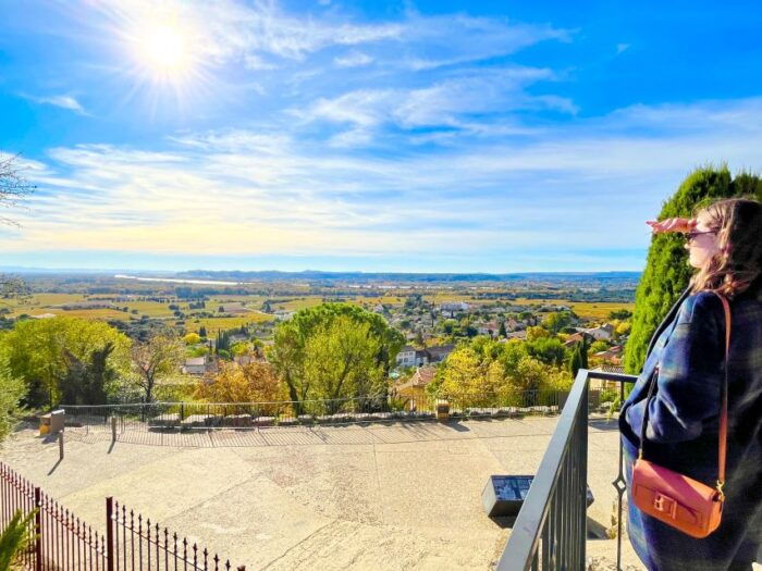 Wine Tasting in Châteauneuf Du Pape - Customer Reviews and Feedback