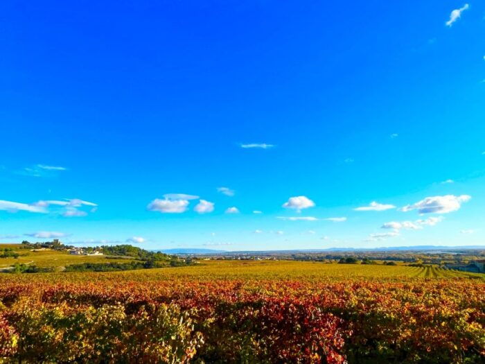 Wine Tasting in Châteauneuf Du Pape - Frequently Asked Questions