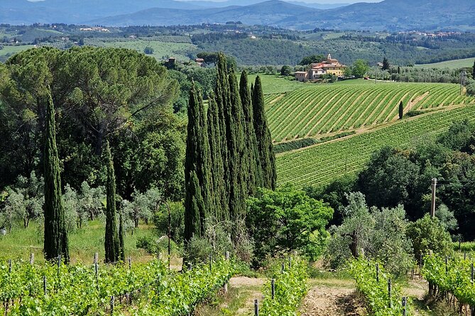 Wine Tasting in Chianti Private Tours and Driver From Florence - Tour Inclusions