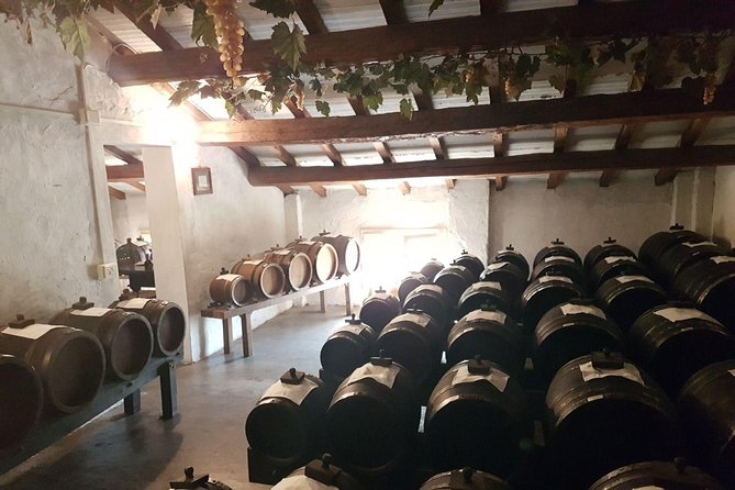 Wine Tasting in Chianti, Visiting Castellina, in Tuscany From Rome - Tour Inclusions