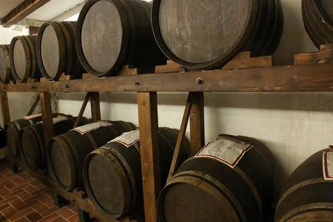 Wine Tasting in Chianti, Visiting Castellina, in Tuscany From Rome - Accessibility Information