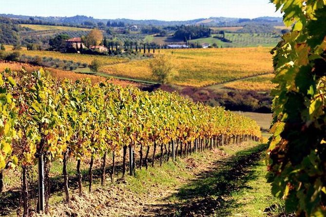 Wine Tasting in Chianti, Visiting Castellina, in Tuscany From Rome - Booking Information