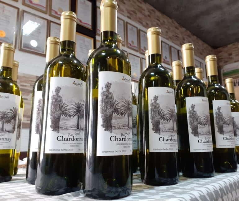 Wine Tasting in Herceg Novi - The Sum Up