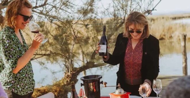 Wine Tasting in Languedoc - Highlights of the Experience