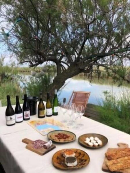 Wine Tasting in Languedoc - Local Gastronomy Pairings
