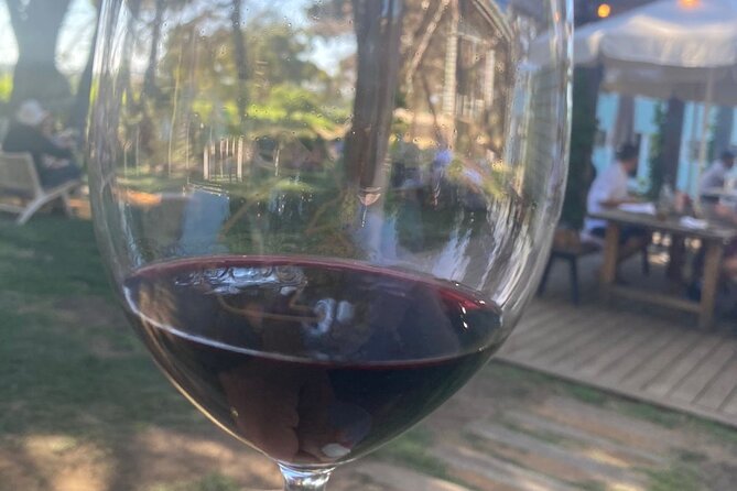 Wine Tasting in McLaren Vale - Unforgettable Wine Experiences Await