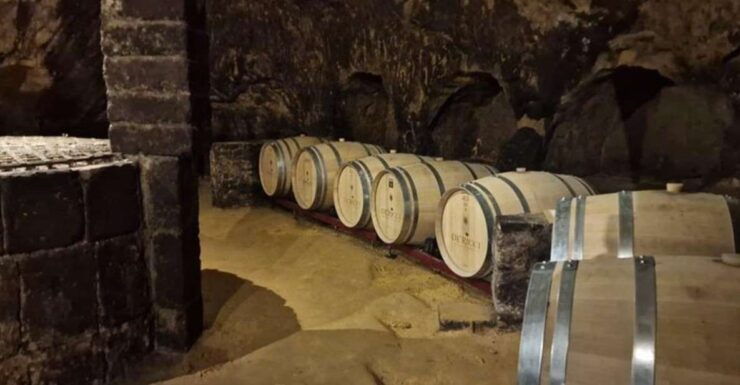 Wine Tasting in Montepulciano and Vineyards Private Tour - Tour Highlights