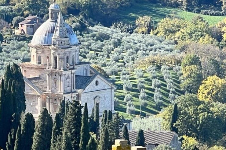 Wine Tasting in Montepulciano and Vineyards Private Tour - Activity Details