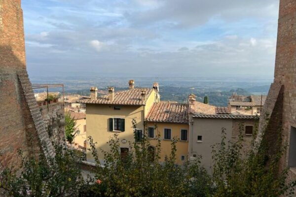 Wine Tasting in Montepulciano and Vineyards Private Tour - Additional Details