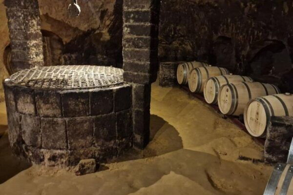 Wine Tasting in Montepulciano and Vineyards Private Tour - Frequently Asked Questions