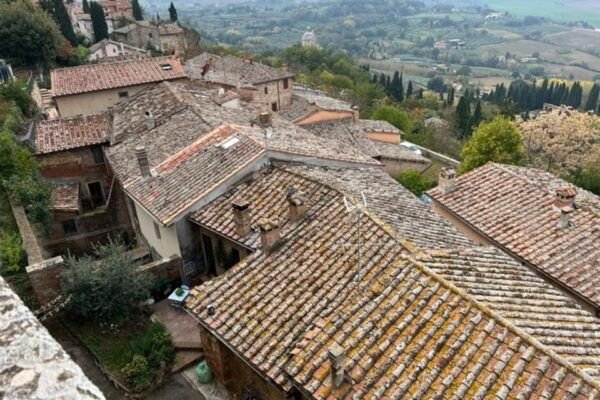 Wine Tasting in Montepulciano and Vineyards Private Tour - The Sum Up