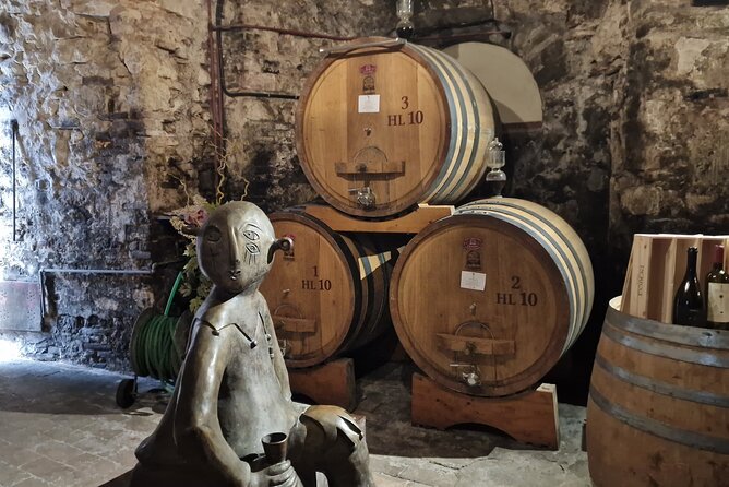 Wine Tasting in Montepulciano Tuscany Private Tour From Rome - Wine Tour Itinerary