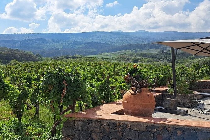 Wine Tasting in Panoramic Winery on Mount Etna - Meeting Point: Cantine Palmento Costanzo