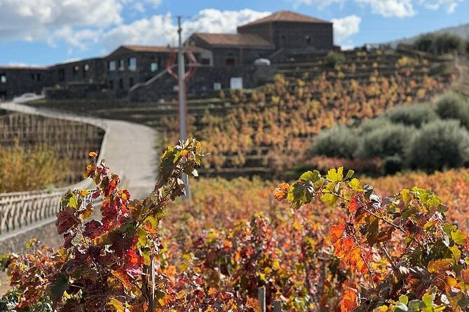 Wine Tasting in Panoramic Winery on Mount Etna - Operator: Wonderful Italy Experiences