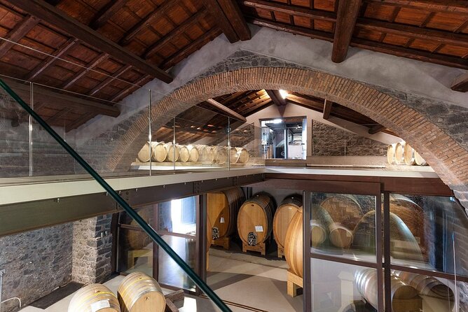 Wine Tasting in Panoramic Winery on Mount Etna - Price and Booking Details