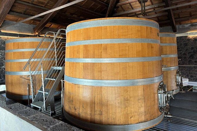 Wine Tasting in Panoramic Winery on Mount Etna - Frequently Asked Questions
