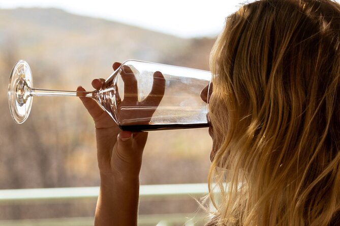 Wine Tasting in Rhodes, Inside the Vineyards With the Producer - Additional Information