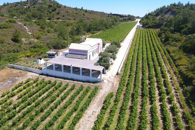 Wine Tasting in Rhodes, Inside the Vineyards With the Producer - Meeting Point
