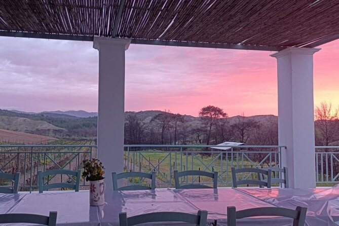 Wine Tasting in Rhodes, Inside the Vineyards With the Producer - Start Time