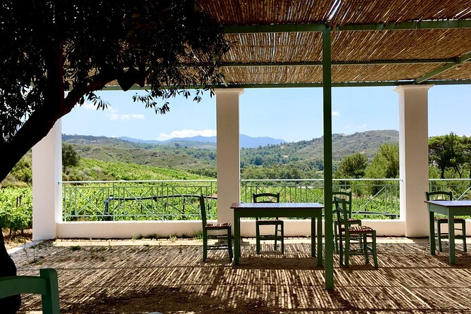 Wine Tasting in Rhodes, Inside the Vineyards With the Producer - Experience Details