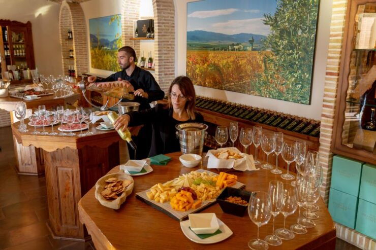 Wine Tasting in the Best Winery in Spain From Alicante - Activity Details